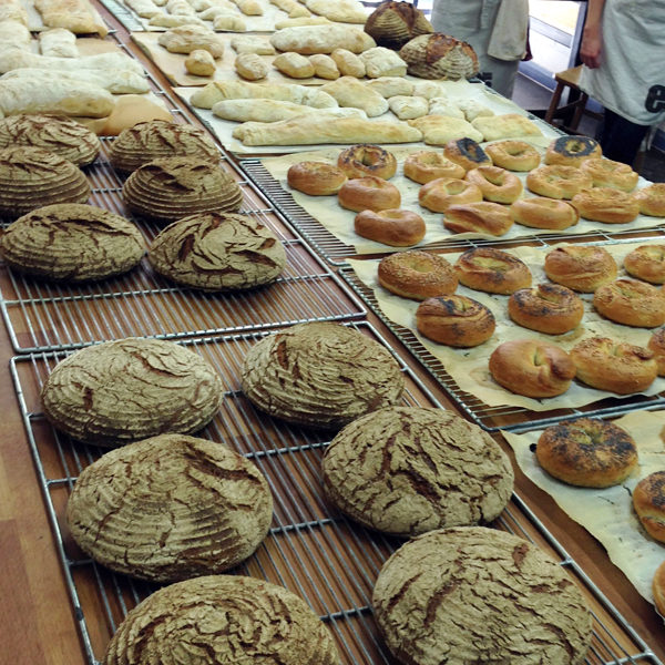 How to make sourdough Blog