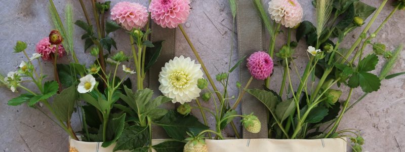 Thornback & Peel Chicken and Carnation