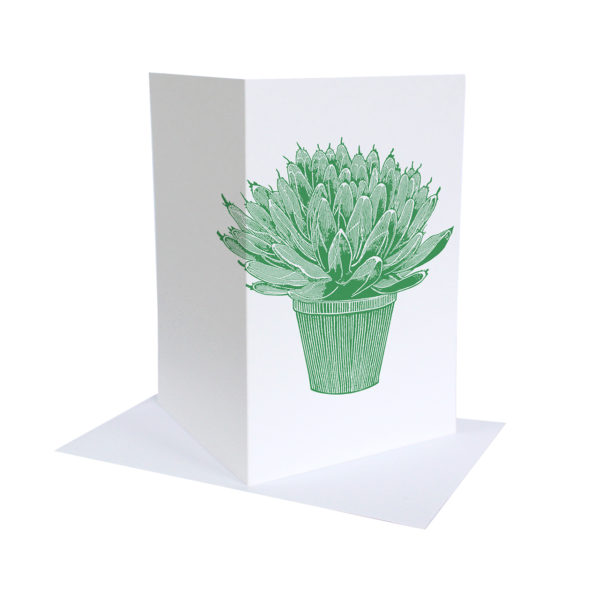 Thornback & Peel Agave Card