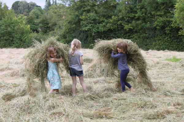 Hay fight